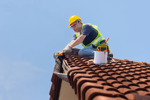 Best Asphalt Shingles Roofing  in Kalona, IA